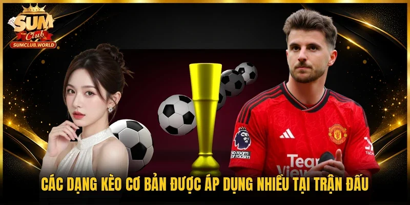 Các dạng kèo cơ bản được áp dụng nhiều tại trận đấu