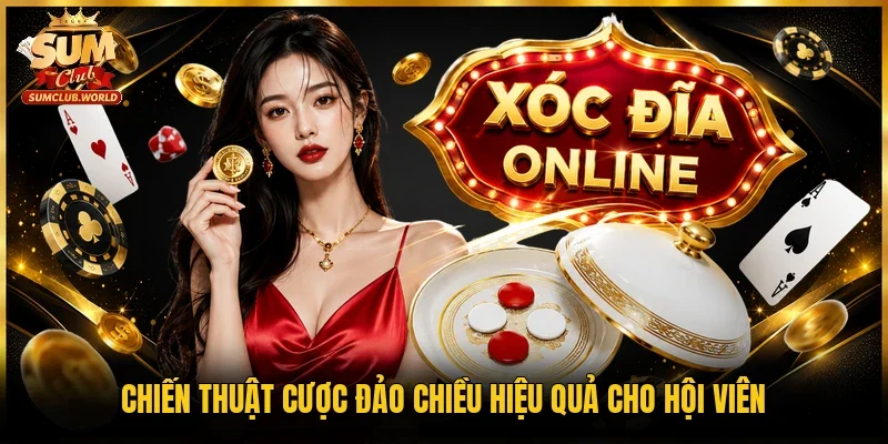 Chiến thuật cược đảo chiều hiệu quả cho hội viên